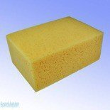 DEDRA GĄBKA GLAZURNICZA - 1521