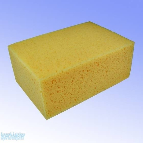 DEDRA GĄBKA GLAZURNICZA - 1521