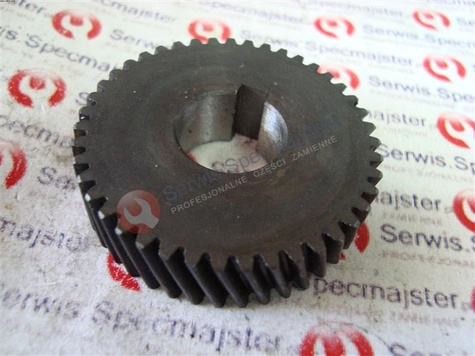 DEDRA Część zamienna do DED7704 - Koło zębate nr.80 Kod: XDED7704.80